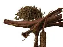 acaciaypeganum