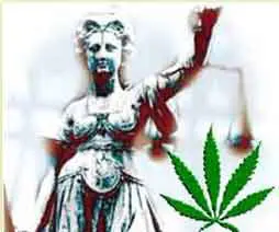 cannabisjusticiera cannabisjusticiera