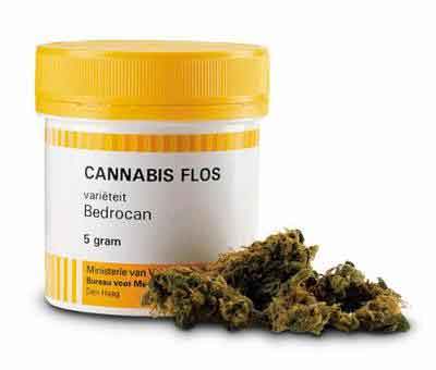 cannabismedicinal2