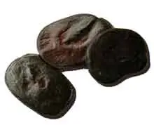 cebil
