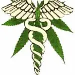 CANNABICULTERAPIA: Cultivar como Terapia medicinalweed