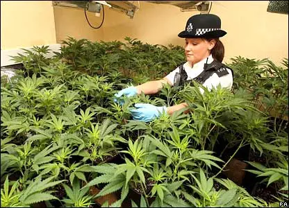 policeingrow policeingrow
