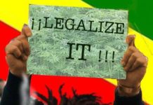 Washington D.C. aprueba el consumo de marihuana Washington D.C. aprueba el consumo de marihuana