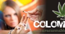 La marihuana, protagonista en las elecciones colombianas La marihuana, protagonista en las elecciones colombianas