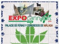 Gran feria del cannabis en Málaga (21 – 23 mayo) Gran feria del cannabis en Málaga (21 – 23 mayo)