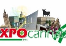 Gran Feria Expocannabis Sur: 21, 22 y 23 de mayo Gran Feria Expocannabis Sur: 21, 22 y 23 de mayo