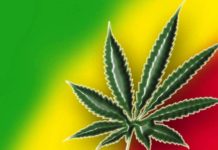 El Robin Hood jamaicano de la droga El Robin Hood jamaicano de la droga