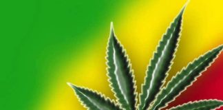 El Robin Hood jamaicano de la droga