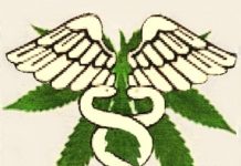 Un estudio desvela por qué el consumo de cannabis aumenta el apetito Un estudio desvela por qué el consumo de cannabis aumenta el apetito