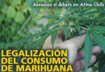 «Sería absurdo no legalizar la marihuana si EEUU lo hace» «Sería absurdo no legalizar la marihuana si EEUU lo hace»