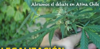 «Sería absurdo no legalizar la marihuana si EEUU lo hace»