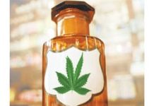 Expertos alemanes recomiendan reclasificar el cannabis terap&eacute;utico