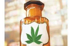Expertos alemanes recomiendan reclasificar el cannabis terapéutico