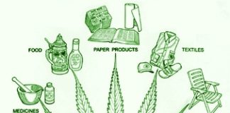 Marchas por el día de la marihuana