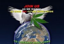Marcha mundial de la marihuana en España Marcha mundial de la marihuana en España