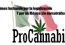 El fiasco del paradigma prohibicionista El fiasco del paradigma prohibicionista