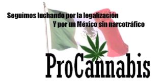 El fiasco del paradigma prohibicionista