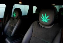 La marihuana no disminuye la capacidad de conducción La marihuana no disminuye la capacidad de conducción