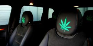 La marihuana no disminuye la capacidad de conducción