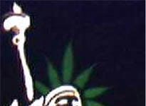¿Una plantación de marihuana en el centro de Nueva York? ¿Una plantación de marihuana en el centro de Nueva York?