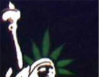 ¿Una plantación de marihuana en el centro de Nueva York?
