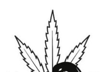 El cannabis es eficaz en el tratamiento del síndrome de Tourette con TDAH El cannabis es eficaz en el tratamiento del síndrome de Tourette con TDAH