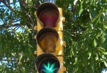 Cultivar cannabis estando de baja no es motivo de despido