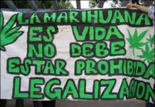 En EEUU se apoya la legalización más que en Europa En EEUU se apoya la legalización más que en Europa