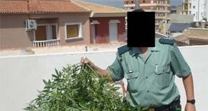 Persecución contra los cultivadores