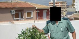 Un año y medio de prisión y multa por cultivar seis plantas