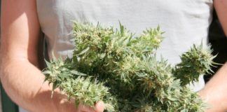 Marihuana a domicilio