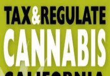 ¿Será legal el cannabis en los próximos años? ¿Será legal el cannabis en los próximos años?