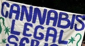 Cannabis, camino a la legalización
