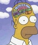 Un nuevo descubrimiento mejorará la cognición humana Un nuevo descubrimiento mejorará la cognición humana