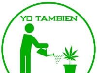 La marihuana echa raíces en Asturias La marihuana echa raíces en Asturias