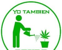 La marihuana echa raíces en Asturias