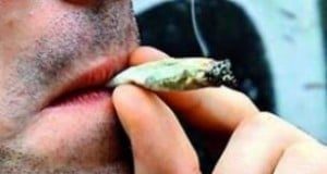 Sequía cannábica en Israel