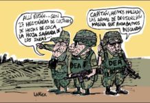 La guerra contra las drogas fracas&oacute;