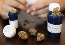El lucrativo negocio de la marihuana medicinal El lucrativo negocio de la marihuana medicinal
