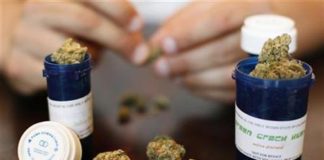 El lucrativo negocio de la marihuana medicinal
