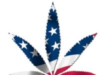 Marihuana: el nuevo sueño americano Marihuana: el nuevo sueño americano
