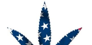 Marihuana: el nuevo sueño americano