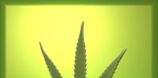 La marihuana, cada vez más legal en California