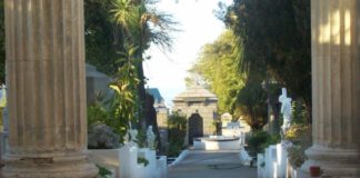 Hallan 25 panes de marihuana en un cementerio