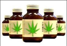 Tres cuartas partes de los estadounidenses y los alemanes apoyan el uso médico del cannabis Tres cuartas partes de los estadounidenses y los alemanes apoyan el uso médico del cannabis