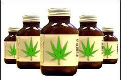 Tres cuartas partes de los estadounidenses y los alemanes apoyan el uso médico del cannabis