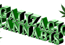 La legalización disminuye las adicciones La legalización disminuye las adicciones