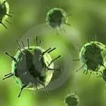 El virus verde (relato) El virus verde (relato)