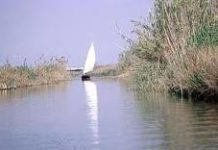Un estudio detecta restos de cocaína y éxtasis en las aguas de La Albufera Un estudio detecta restos de cocaína y éxtasis en las aguas de La Albufera