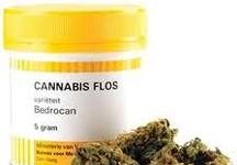 Holanda exportar&aacute; cannabis medicinal